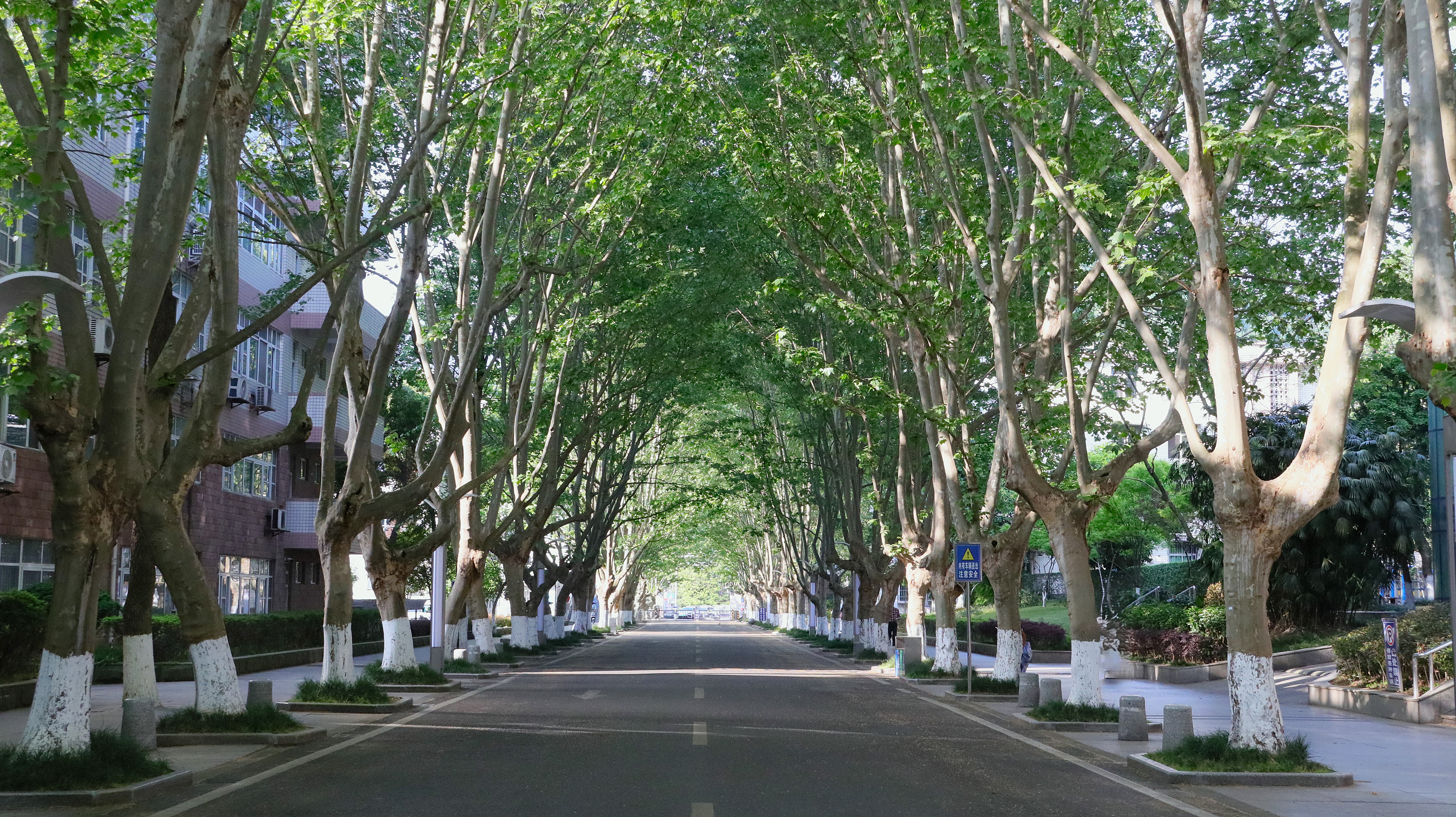 beats365唯一官网入口官网